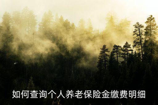 個人養(yǎng)老查詢，怎樣查詢個人養(yǎng)老保險資料