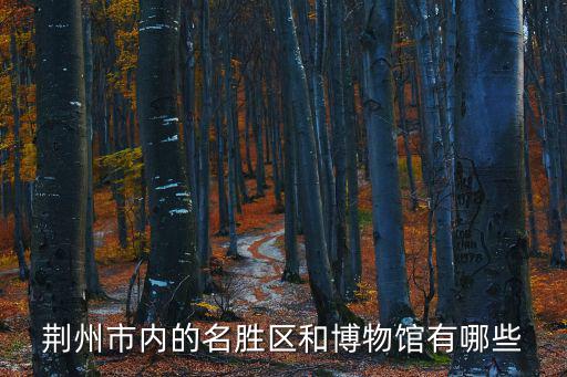 荊州市內的名勝區和博物館有哪些