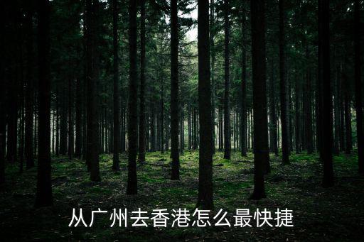 從廣州去香港怎么最快捷