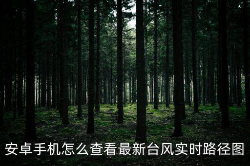 最新實時臺風路徑，臺風路徑實時發(fā)布系統(tǒng)徃后丕有幾個臺風