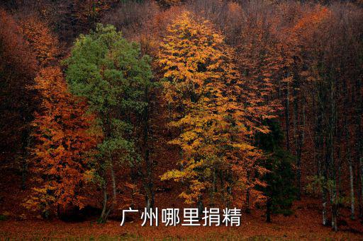 廣州哪里捐精