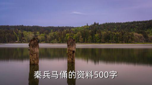 秦陵兵馬俑，秦陵兵馬俑的具體的地理位置在哪