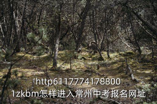 http61177741788001zkbm怎樣進入常州中考報名網址