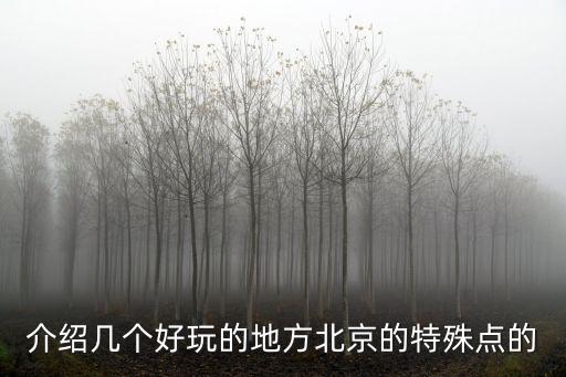 介紹幾個好玩的地方北京的特殊點的
