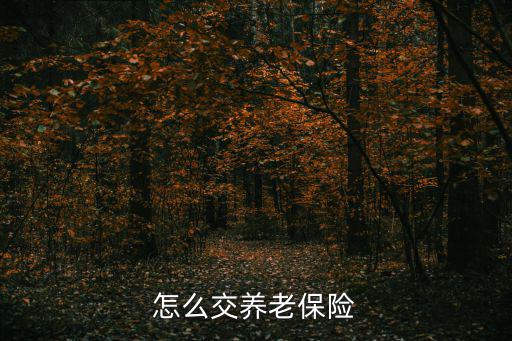 養老保險繳費，怎么交養老保險
