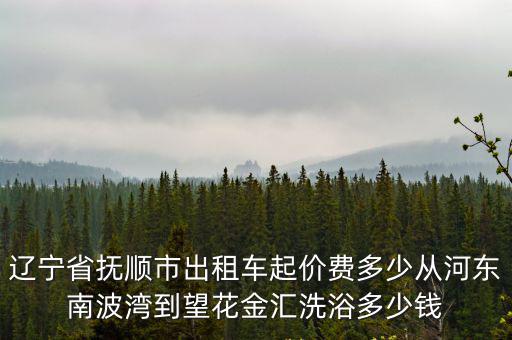 遼寧省撫順市出租車起價(jià)費(fèi)多少從河?xùn)|南波灣到望花金匯洗浴多少錢