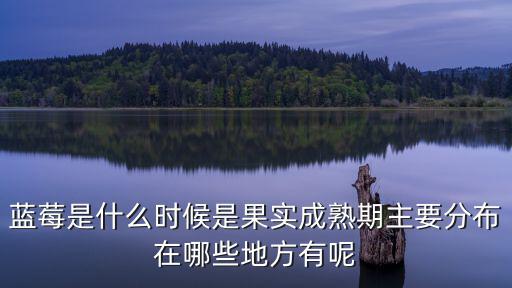藍莓是什么時候是果實成熟期主要分布在哪些地方有呢