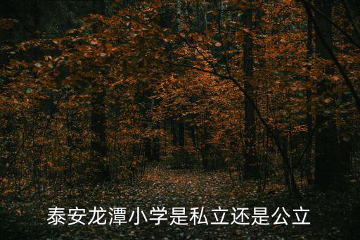 龍潭小學，泰安龍潭小學是私立還是公立