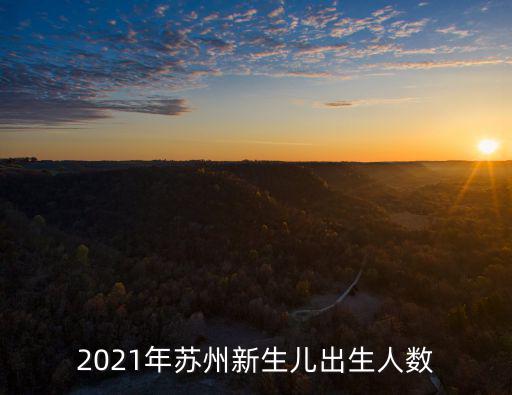 2021年蘇州新生兒出生人數(shù)
