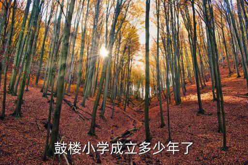鼓樓小學成立多少年了