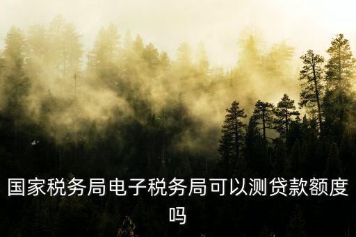 國家稅務局電子稅務局可以測貸款額度嗎