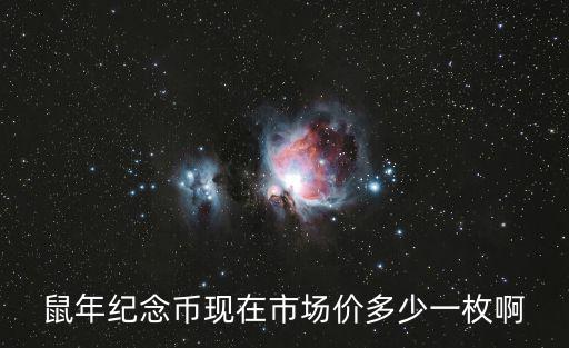 鼠年紀念幣，鼠年紀念幣第二批什么時候預約