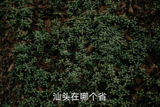 汕頭在哪，汕頭市在中國(guó)的哪個(gè)省份