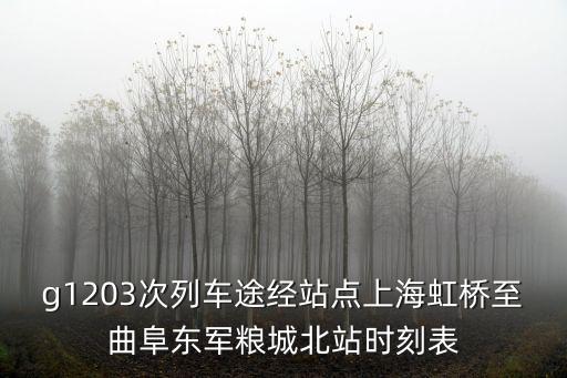 g1203次列車途經(jīng)站點(diǎn)上海虹橋至曲阜東軍糧城北站時(shí)刻表