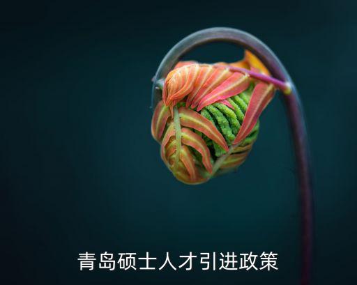 青島碩士人才引進政策