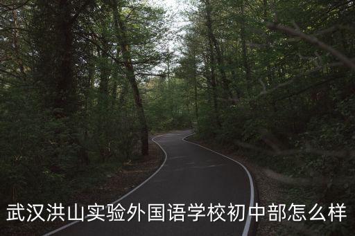 武漢洪山實(shí)驗外國語學(xué)校初中部怎么樣