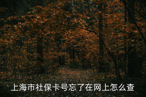 上海市社保卡號忘了在網上怎么查