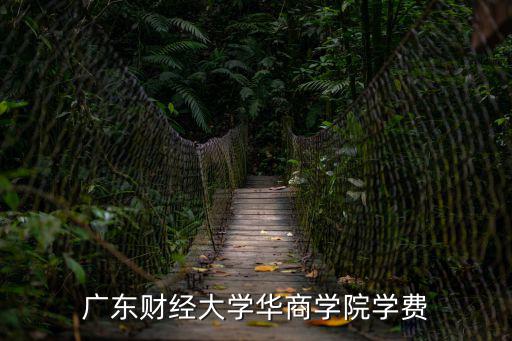 廣東財經大學華商學院學費