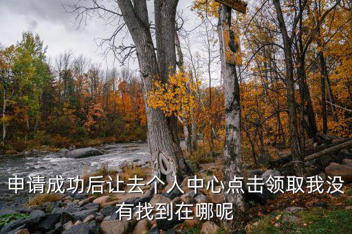 申請成功后讓去個人中心點擊領(lǐng)取我沒有找到在哪呢