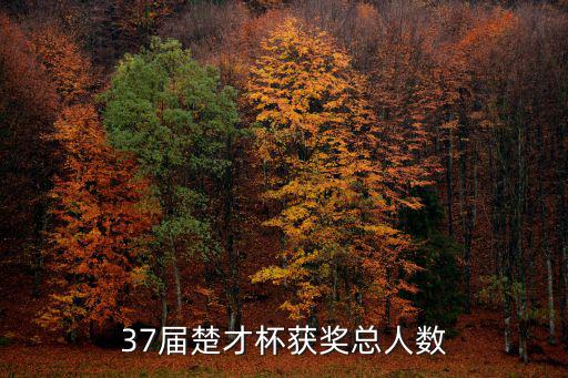 37屆楚才杯獲獎總人數