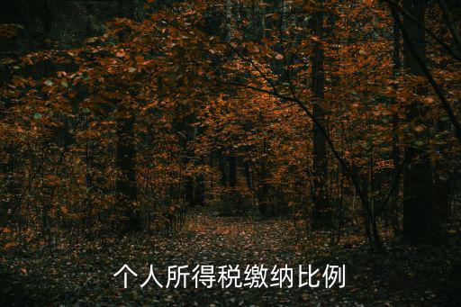 個稅比例，個稅比例有幾種