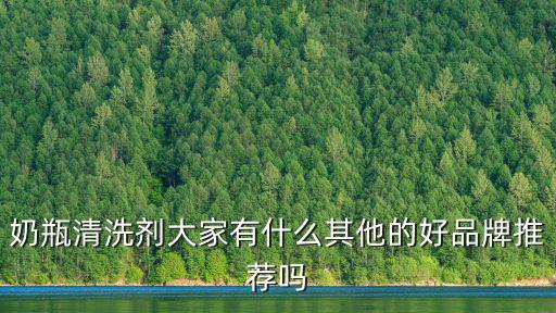 奶瓶清洗劑大家有什么其他的好品牌推薦嗎