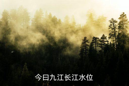今曰九江長江水位