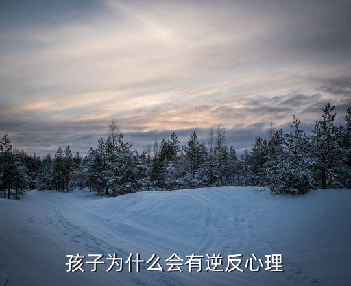 孩子為什么會(huì)有逆反心理
