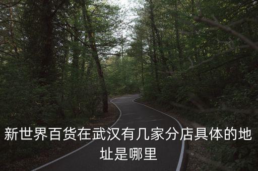 新世界百貨在武漢有幾家分店具體的地址是哪里