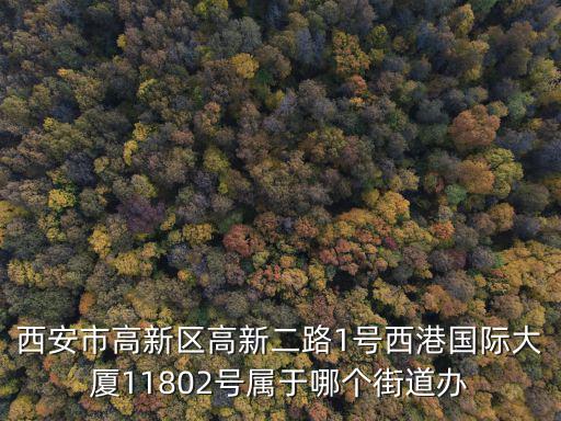 西安市高新區(qū)高新二路1號西港國際大廈11802號屬于哪個街道辦