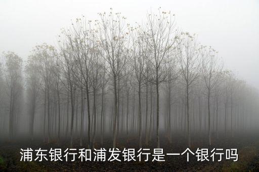 浦東銀行，浦發銀行在哪里