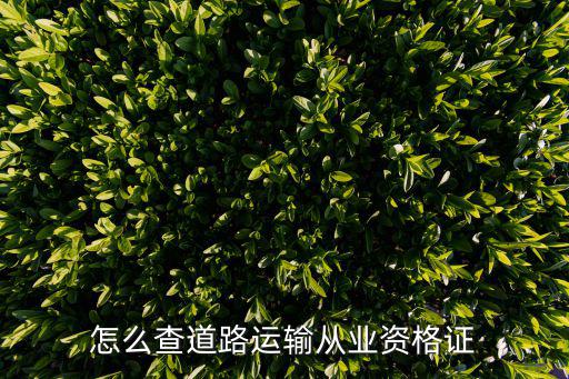 怎么查道路運(yùn)輸從業(yè)資格證