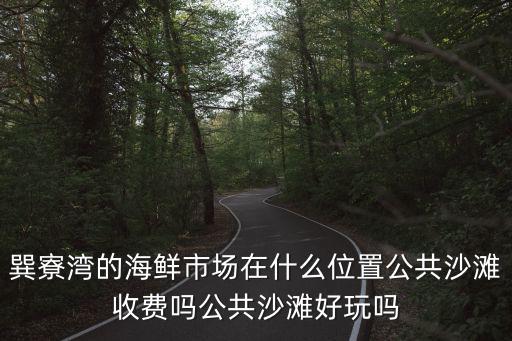 巽寮灣的海鮮市場在什么位置公共沙灘收費嗎公共沙灘好玩嗎