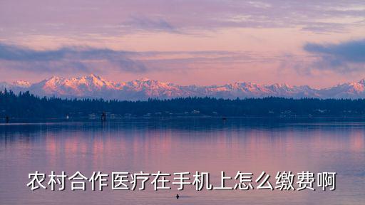 農村合作醫療在手機上怎么繳費啊