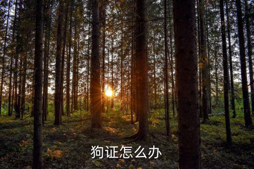 狗證怎么辦