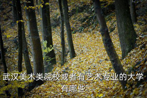 武漢美術學院，武漢美術類院校或者有藝術專業的大學有哪些