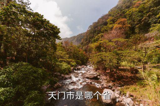 天門市是哪個省