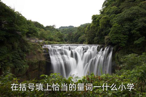 在括號填上恰當的量詞一什么小學