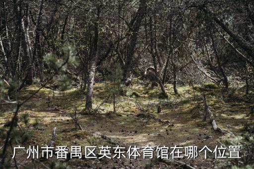 廣州市番禺區(qū)英東體育館在哪個(gè)位置