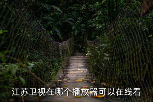 江蘇衛(wèi)視在哪個(gè)播放器可以在線看