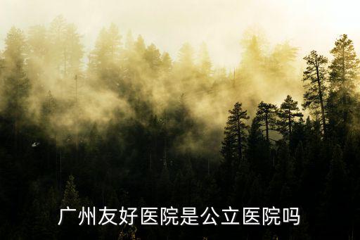 廣州友好醫(yī)院，廣州友好醫(yī)院怎么樣