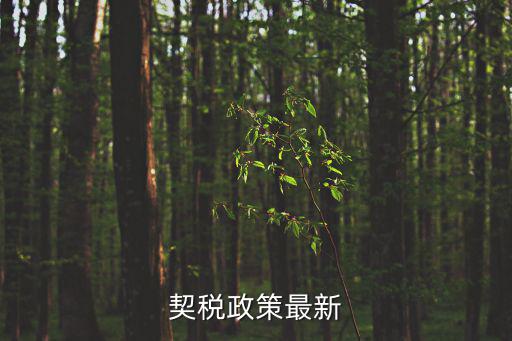 契稅政策最新