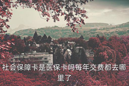 社會保障卡是醫(yī)保卡嗎每年交費都去哪里了