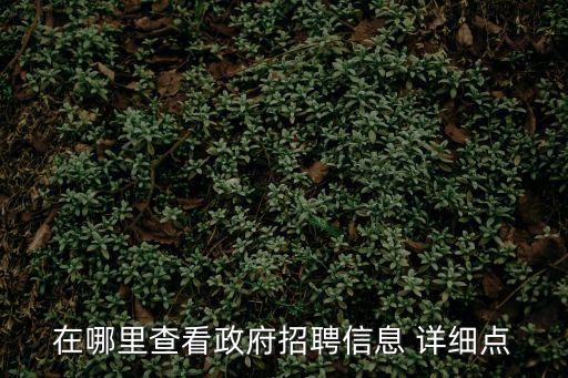 在哪里查看政府招聘信息 詳細點