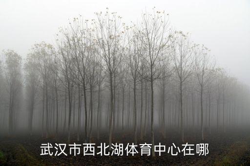 西北湖，武漢西北湖附近有哪些公司