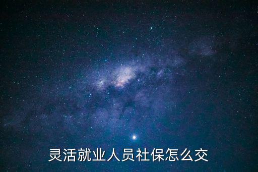 靈活就業(yè)人員社保怎么交