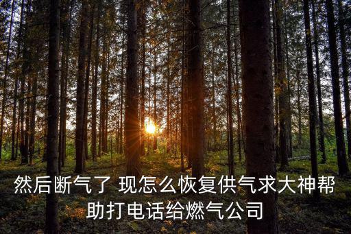 燃氣報修，然后斷氣了 現怎么恢復供氣求大神幫助打電話給燃氣公司