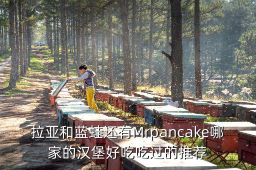 拉亞漢堡，拉亞和藍蛙還有Mrpancake哪家的漢堡好吃吃過的推薦
