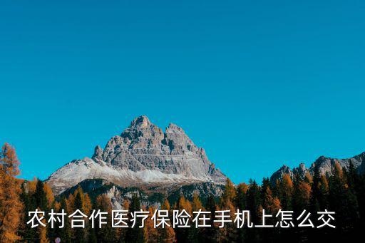 農村合作醫療保險在手機上怎么交