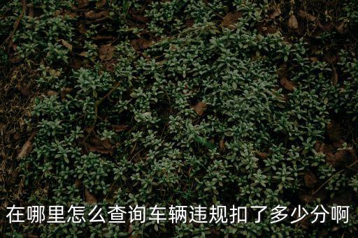 在哪里怎么查詢車輛違規扣了多少分啊